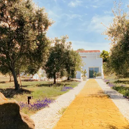 Pensionat Castle 3*