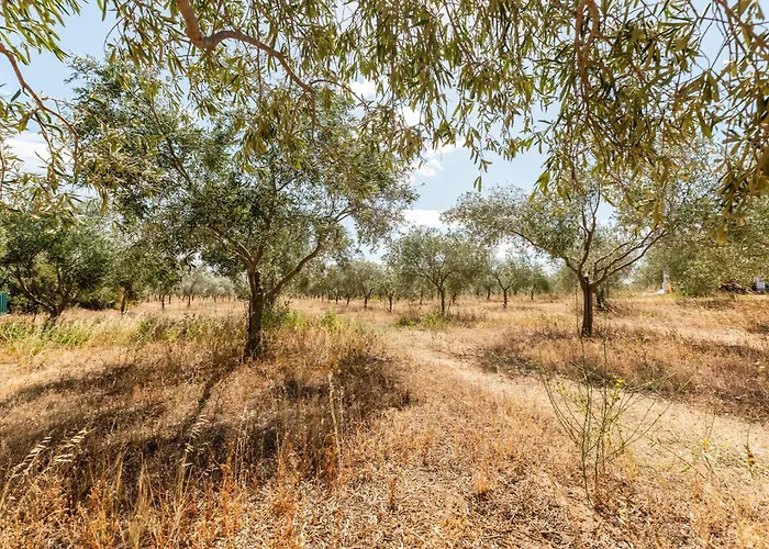 Castle Maison d'hôtes