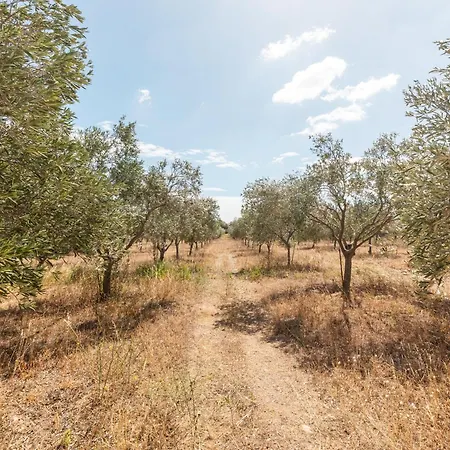 Castle Guest house 3*