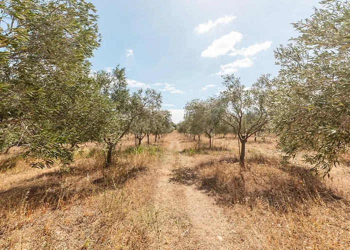 Castle Vendégház 3*